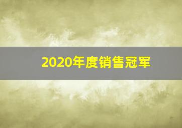 2020年度销售冠军