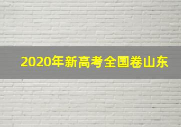 2020年新高考全国卷山东