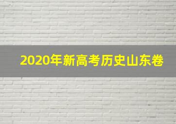 2020年新高考历史山东卷