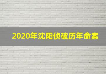 2020年沈阳侦破历年命案