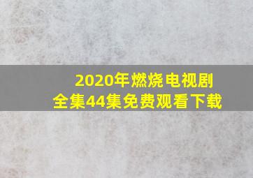 2020年燃烧电视剧全集44集免费观看下载