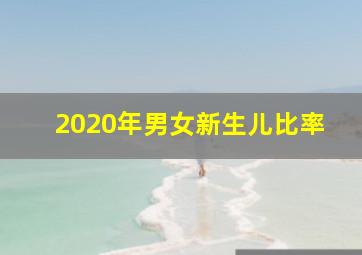 2020年男女新生儿比率