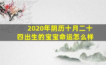 2020年阴历十月二十四出生的宝宝命运怎么样