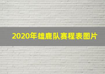 2020年雄鹿队赛程表图片