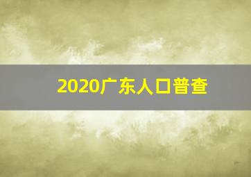 2020广东人口普查