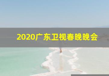 2020广东卫视春晚晚会