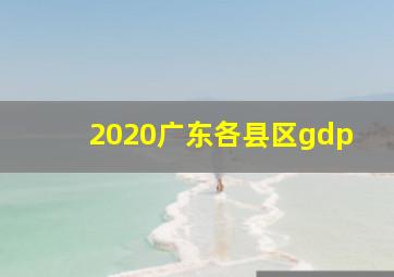 2020广东各县区gdp