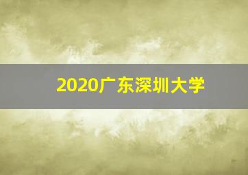 2020广东深圳大学