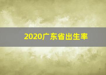 2020广东省出生率