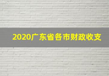 2020广东省各市财政收支