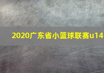 2020广东省小篮球联赛u14