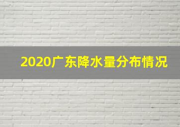 2020广东降水量分布情况