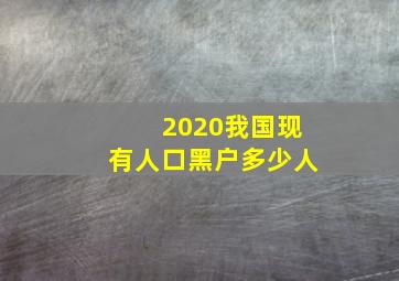 2020我国现有人口黑户多少人