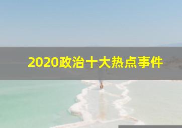 2020政治十大热点事件