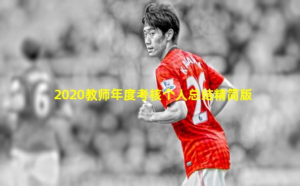 2020教师年度考核个人总结精简版