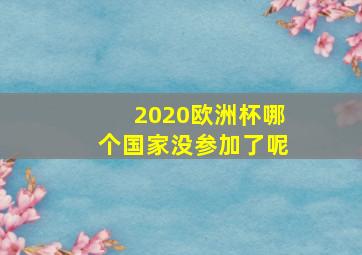 2020欧洲杯哪个国家没参加了呢