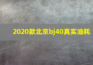 2020款北京bj40真实油耗