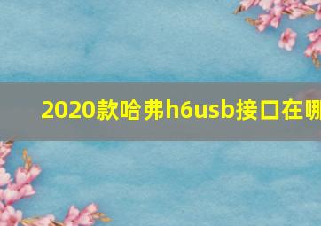 2020款哈弗h6usb接口在哪