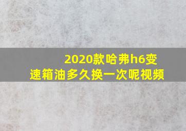 2020款哈弗h6变速箱油多久换一次呢视频