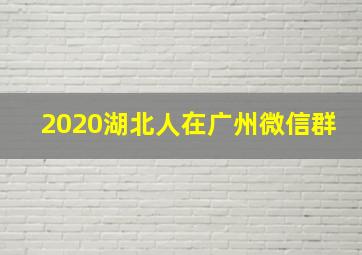 2020湖北人在广州微信群