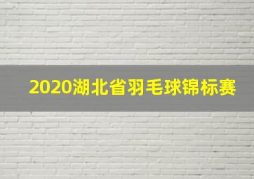 2020湖北省羽毛球锦标赛