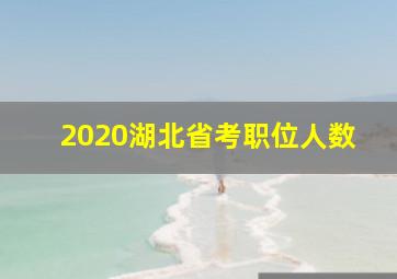 2020湖北省考职位人数