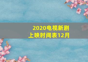 2020电视新剧上映时间表12月