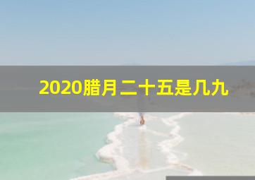 2020腊月二十五是几九