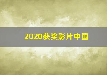 2020获奖影片中国