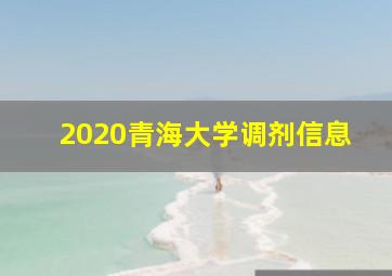 2020青海大学调剂信息