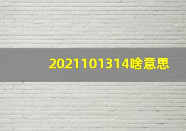 2021101314啥意思