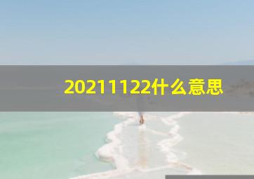 20211122什么意思