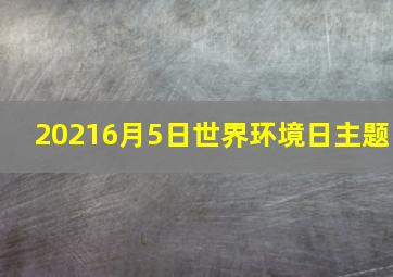 20216月5日世界环境日主题