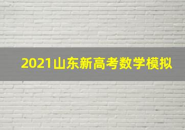 2021山东新高考数学模拟