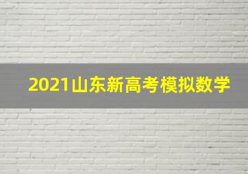 2021山东新高考模拟数学