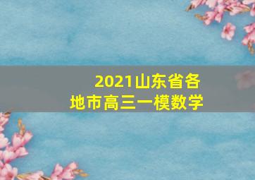 2021山东省各地市高三一模数学