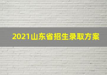 2021山东省招生录取方案