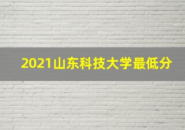 2021山东科技大学最低分