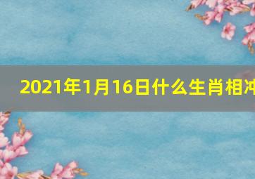 2021年1月16日什么生肖相冲