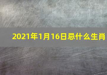 2021年1月16日忌什么生肖