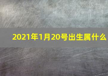 2021年1月20号出生属什么