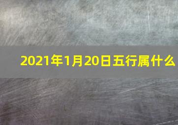 2021年1月20日五行属什么