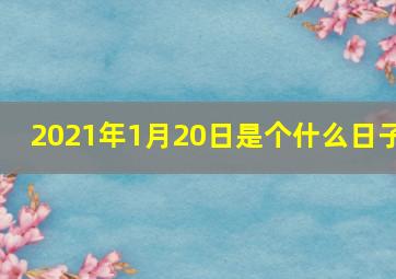 2021年1月20日是个什么日子