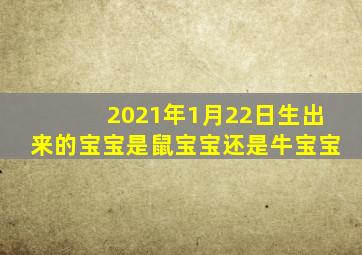 2021年1月22日生出来的宝宝是鼠宝宝还是牛宝宝