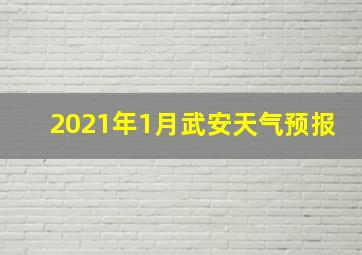 2021年1月武安天气预报