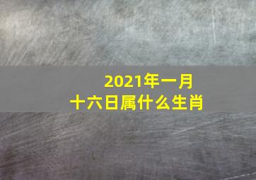 2021年一月十六日属什么生肖