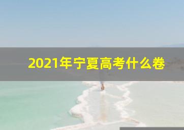 2021年宁夏高考什么卷