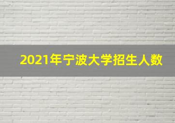 2021年宁波大学招生人数