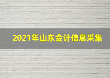 2021年山东会计信息采集