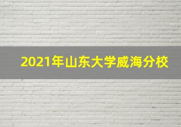 2021年山东大学威海分校